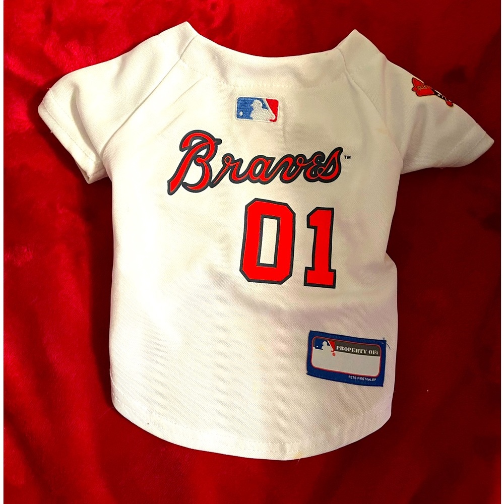Atlanta Braves Jersey and other small clothes for small pet